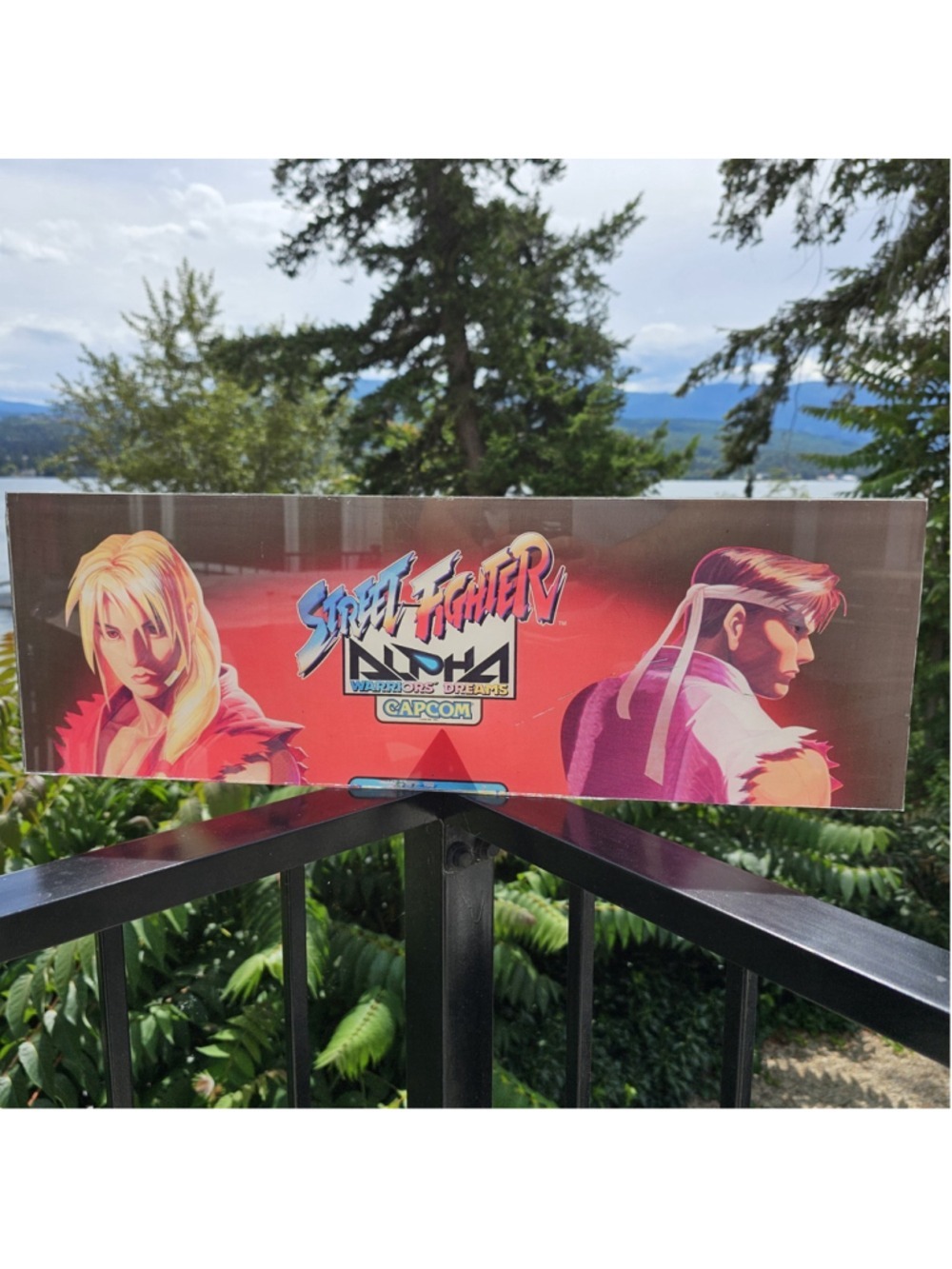 Original Street Fighter Alpha Warriors Dreams Capcom Arcade Marquee Sign 24” VTG